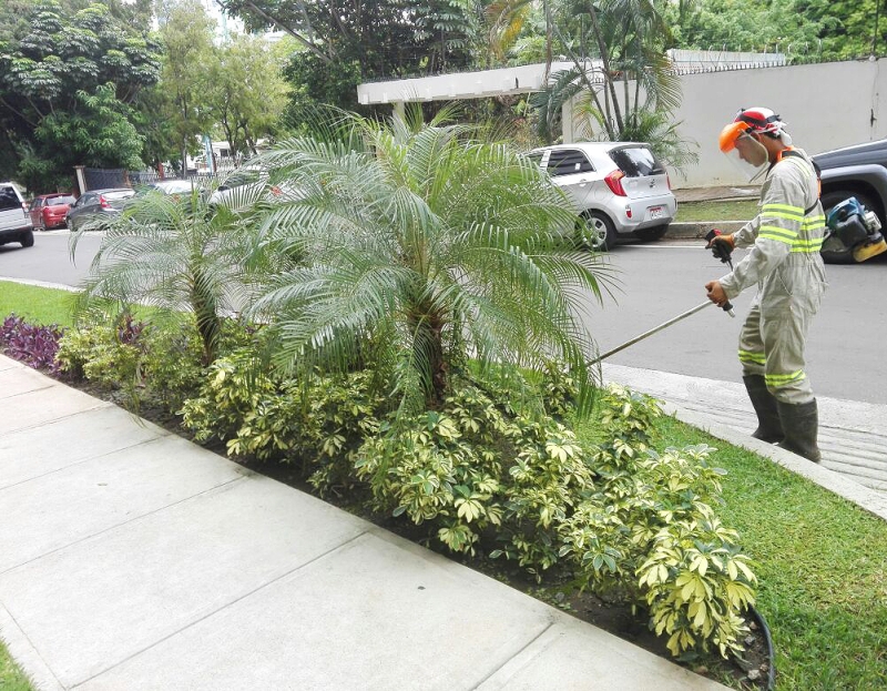 Mantenimiento En P H Plaza 58 En Obarrio Jardinería Panamá